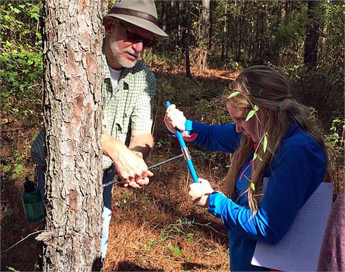 Science students visit Lost Creek Forest