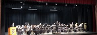 TCCHS Gold Band plays a musical selection during the recent Large Group Performance Evaluation, or festival, held at Cairo High School.