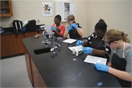 Students Enjoy New Science Lab
