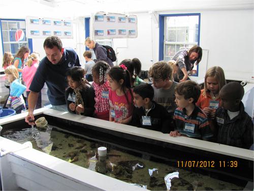 Classes Visit the Gulf Specimen Marine Lab