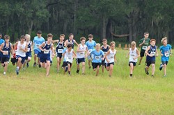 Cross Country Cougar Classic