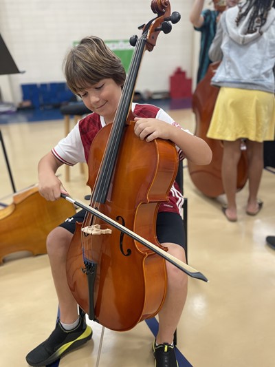 strings cello